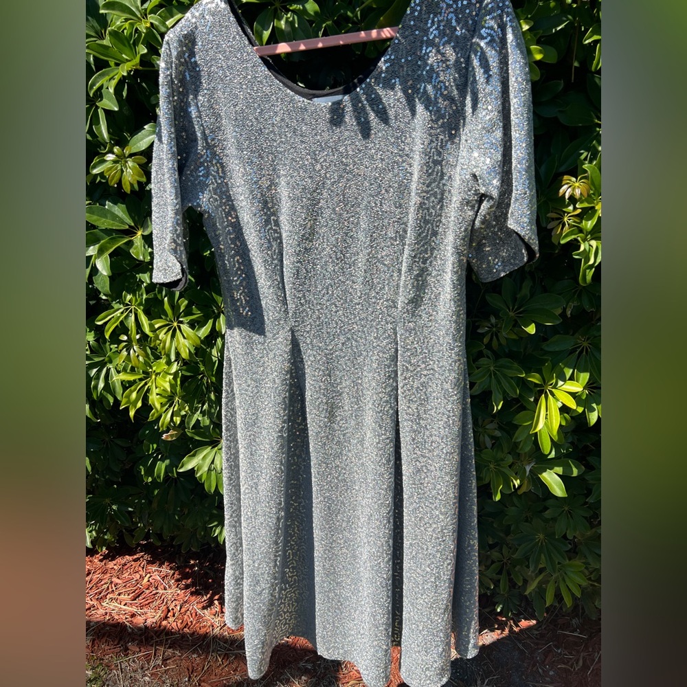 Karina Grimaldi Silver Glitter Midi Dress